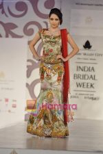 Model walks the ramp for Arjun Anjalee Kapoor for Aamby Valley India Bridal Week on 30th Oct 2010 (75).JPG